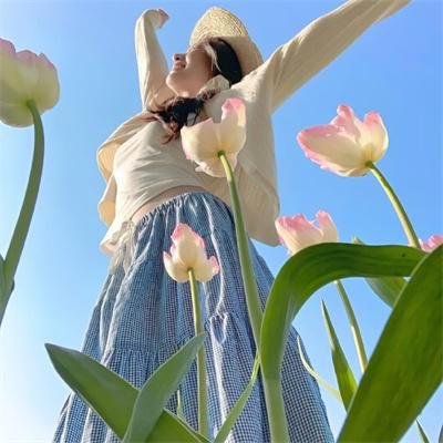屋顶的公寓